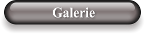 Galerie